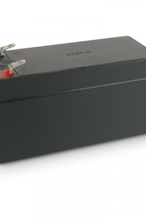 Batteria e-Vision AGM 12Ah/12V